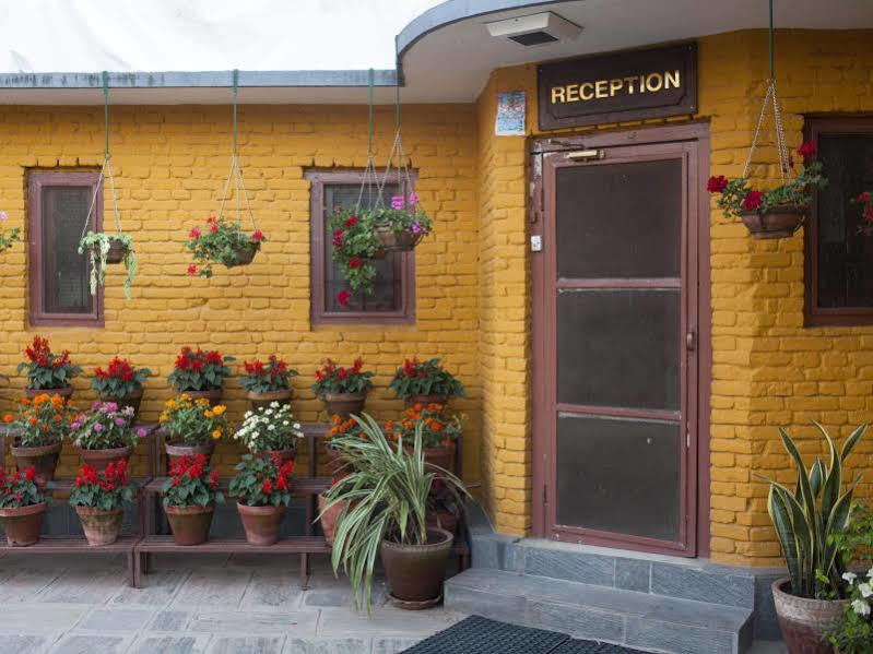 The Yellow House Jawlakhel Extérieur photo